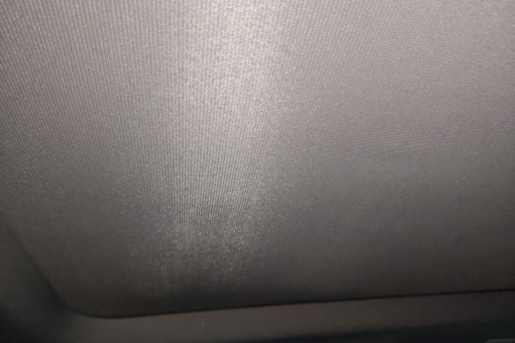 Used BMW X1 2016 sDrive18Li Premium Edition Headliner