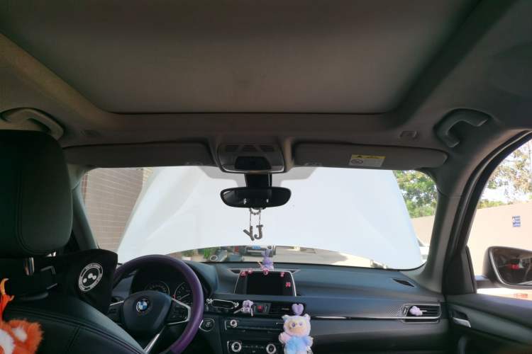Used BMW X1 2016 sDrive18Li Fashion Model Headliner