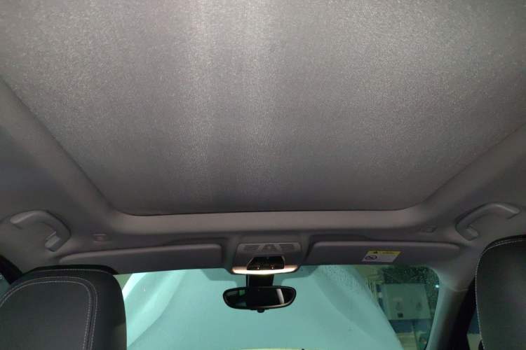 Used BMW X1 2016 sDrive20Li Luxury Model Headliner