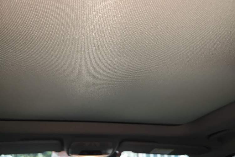 Used BMW X1 2016 sDrive20Li Luxury Model Headliner