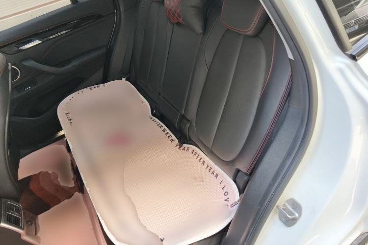 Used BMW X1 2016 sDrive20Li Luxury Model Left Rear Seat
