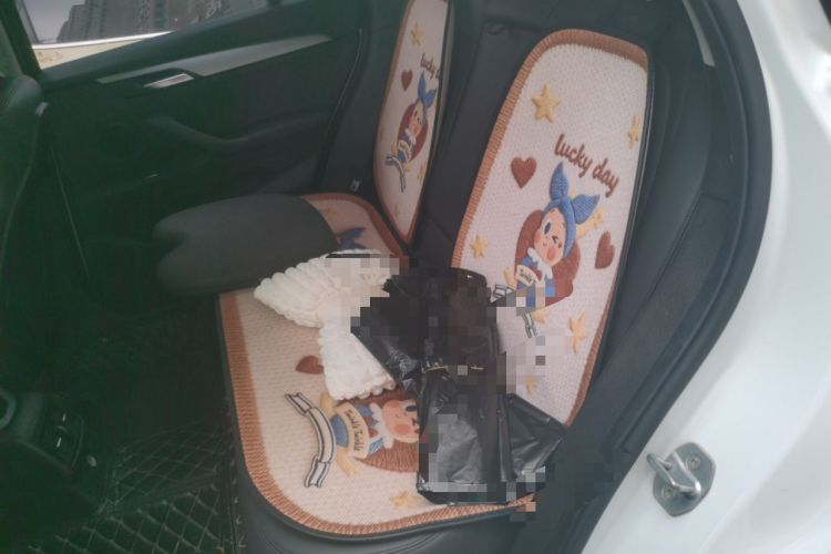 Used BMW X1 2016 sDrive18Li Fashion Model Left Rear Seat