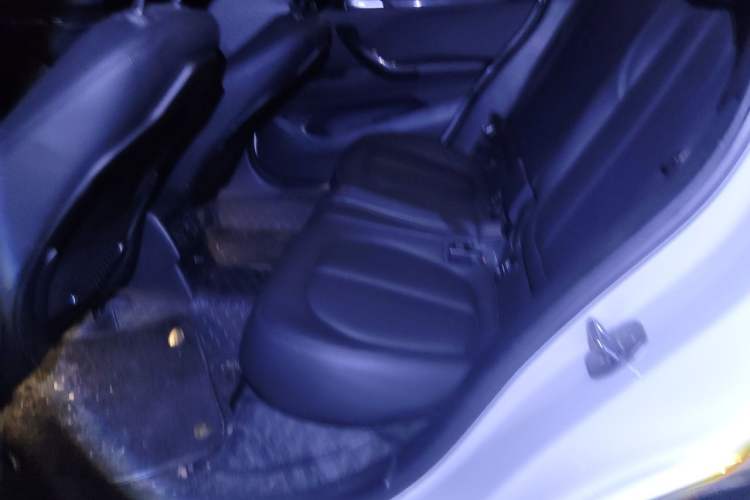 Used BMW X1 2016 sDrive18Li Fashion Model Left Rear Seat