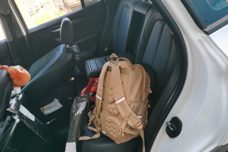 Used BMW X1 2016 sDrive18Li Fashion Model Left Rear Seat