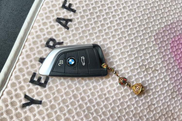 Used BMW X1 2016 sDrive20Li Luxury Model Vehicle Key