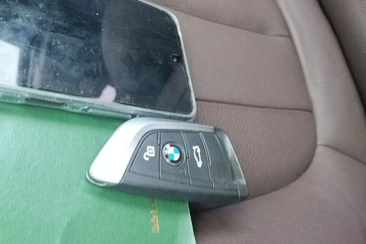 Used BMW X1 2016 sDrive20Li Luxury Model Vehicle Key