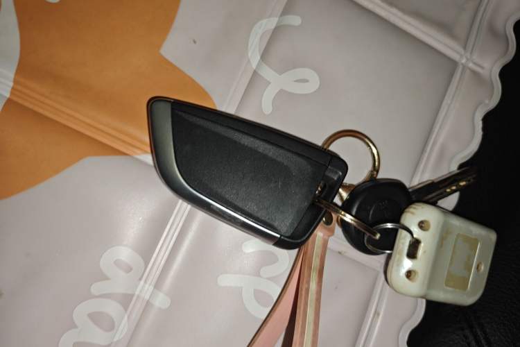 Used BMW X1 2016 sDrive18Li Fashion Model Vehicle Key