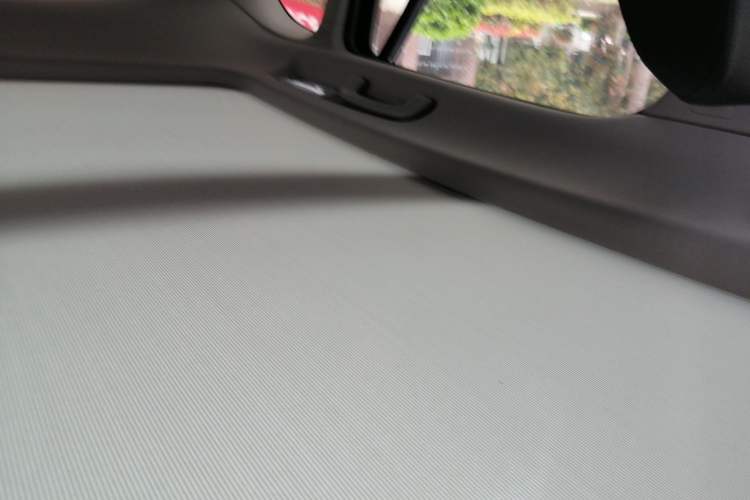 Used BMW X1 2018 sDrive20Li Leading Model Headliner