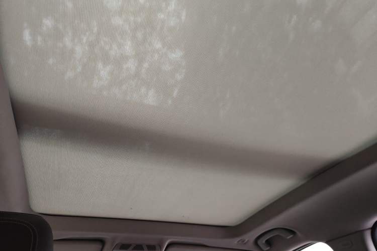 Used BMW X1 2018 xDrive20Li Luxury Edition Headliner