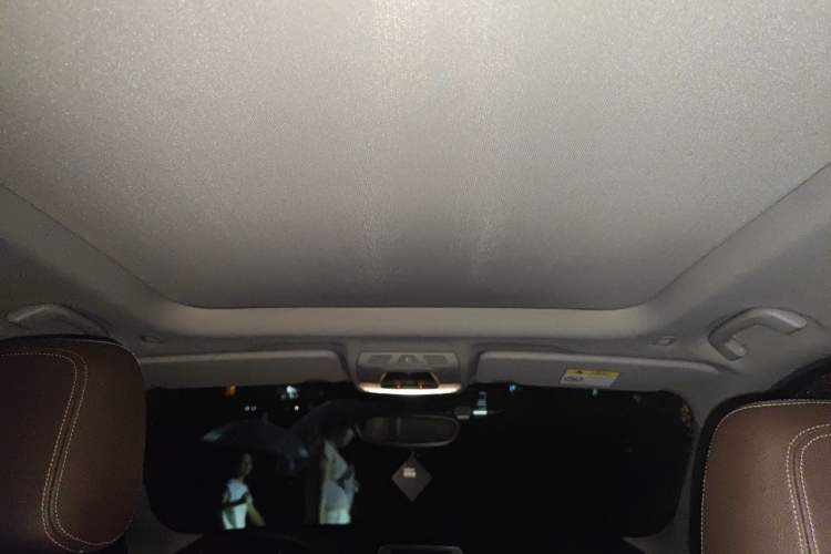 Used BMW X1 2018 sDrive18Li Luxury Model Headliner