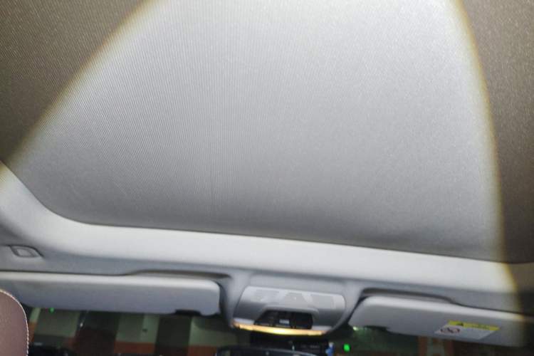 Used BMW X1 2018 xDrive20Li Luxury Edition Headliner