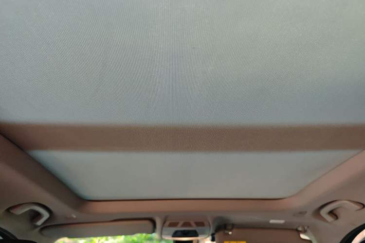 Used BMW X1 2018 sDrive20Li Leading Model Headliner