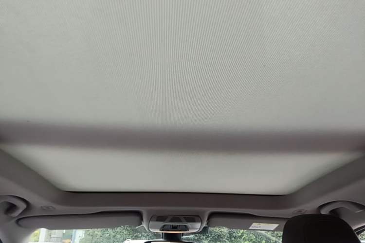 Used BMW X1 2018 xDrive20Li Luxury Edition Headliner