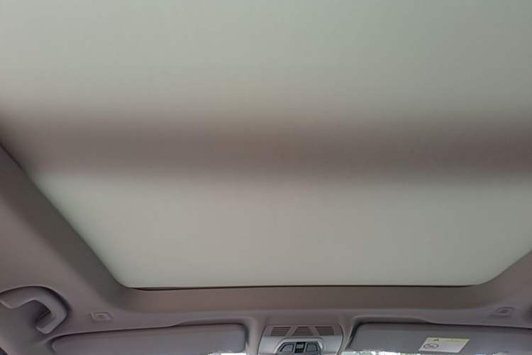 Used BMW X1 2018 sDrive20Li Leading Model Headliner