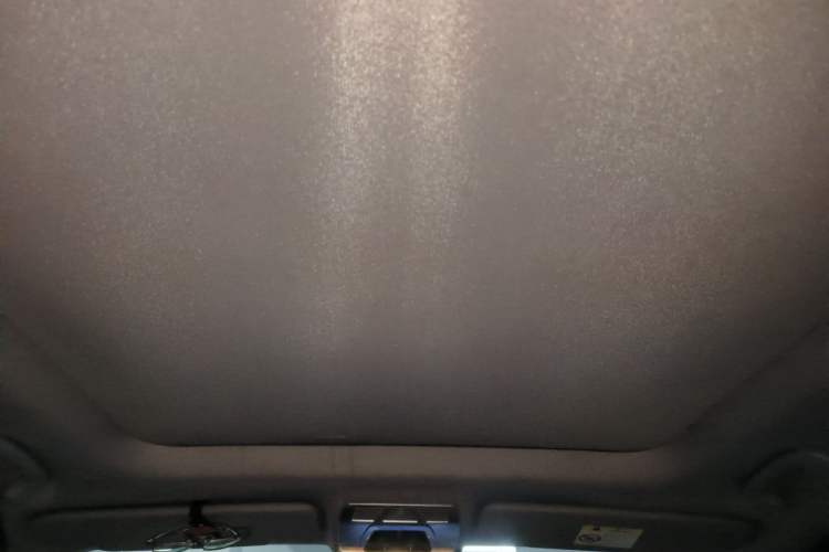 Used BMW X1 2018 sDrive20Li Leading Model Headliner