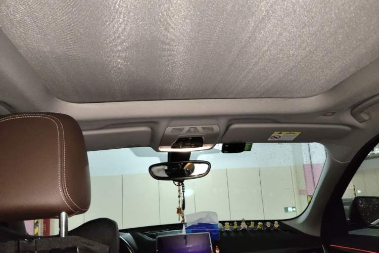 Used BMW X1 2018 xDrive20Li Luxury Model Headliner