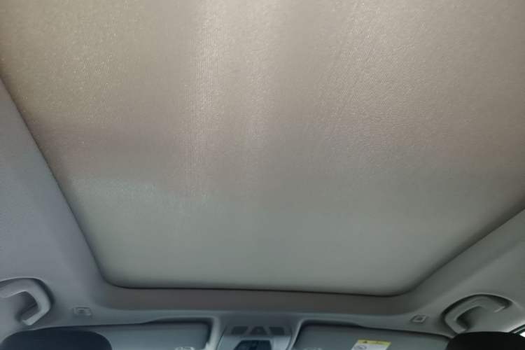 Used BMW X1 2018 sDrive20Li Leading Model Headliner