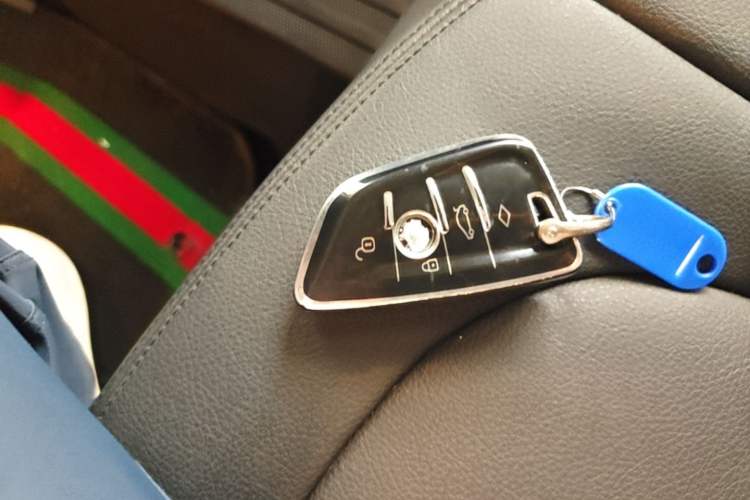 Used BMW X1 2018 sDrive20Li Leading Model Vehicle Key