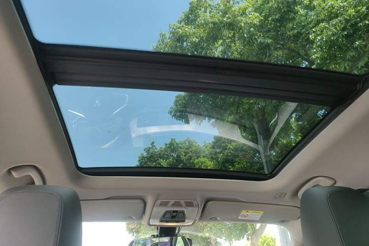 Used BMW X1 2018 sDrive20Li Leading Model Headliner