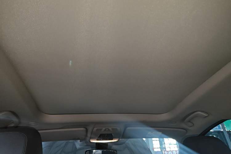 Used BMW X1 2018 sDrive20Li Leading Model Headliner