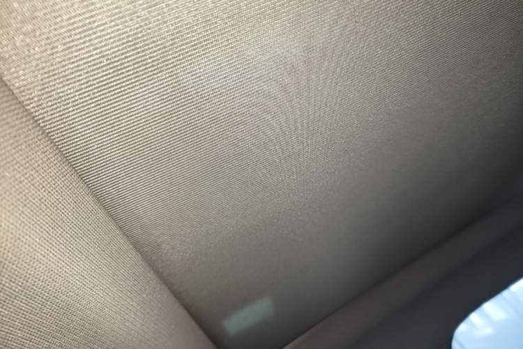 Used BMW X1 2018 sDrive18Li Luxury Model Headliner