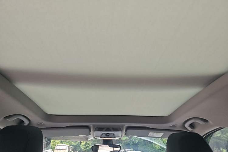 Used BMW X1 2018 sDrive20Li Leading Model Headliner