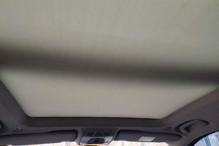 Used BMW X1 2018 sDrive18Li Luxury Model Headliner