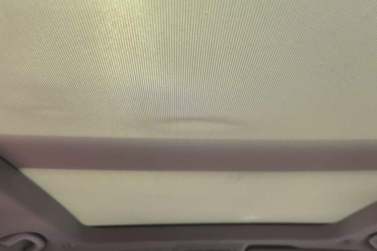 Used BMW X1 2018 sDrive18Li Luxury Model Headliner