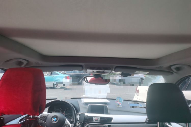 Used BMW X1 2018 sDrive20Li Leading Model Headliner