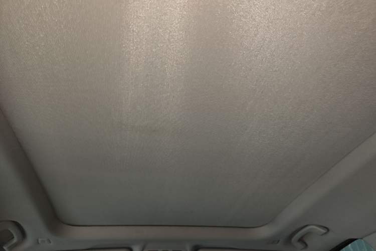 Used BMW X1 2018 sDrive18Li Luxury Model Headliner