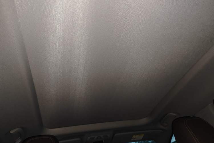 Used BMW X1 2018 xDrive20Li Luxury Model Headliner
