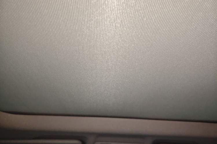 Used BMW X1 2018 xDrive20Li Luxury Edition Headliner