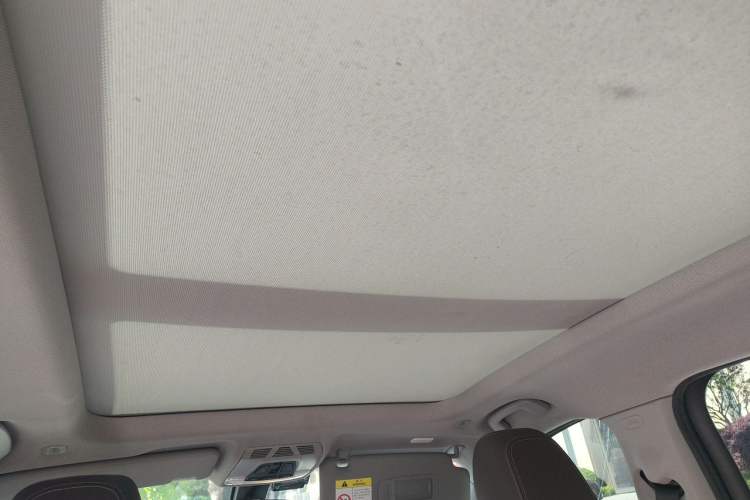 Used BMW X1 2018 xDrive20Li Luxury Edition Headliner