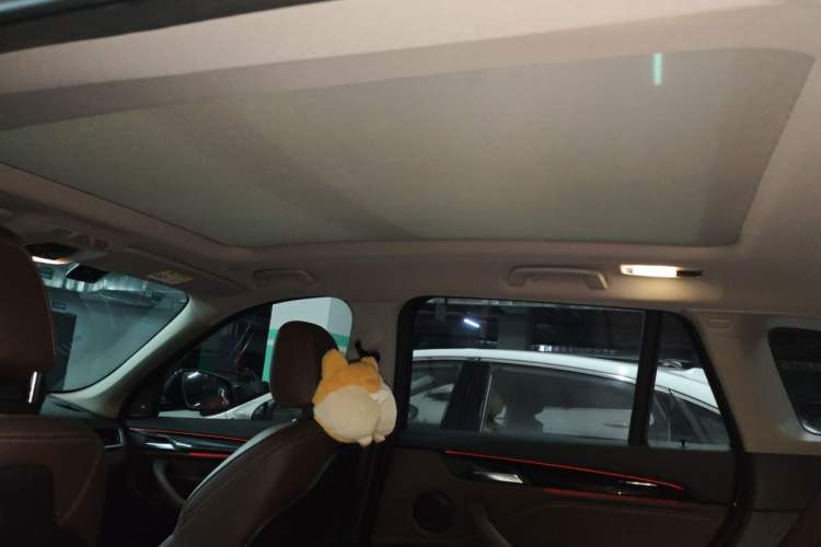 Used BMW X1 2018 xDrive20Li Luxury Edition Headliner