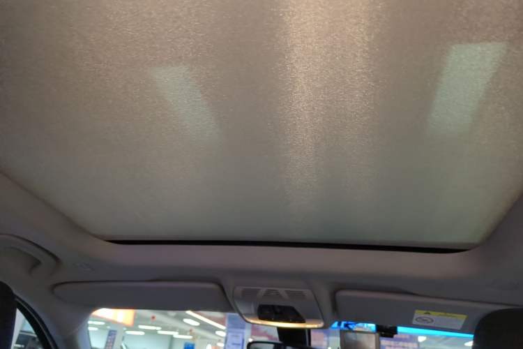 Used BMW X1 2018 sDrive20Li Leading Model Headliner