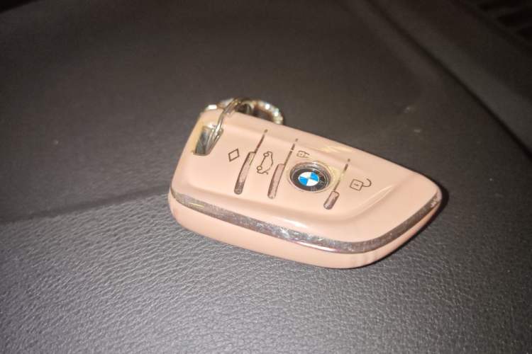 Used BMW X1 2018 sDrive20Li Leading Model Vehicle Key