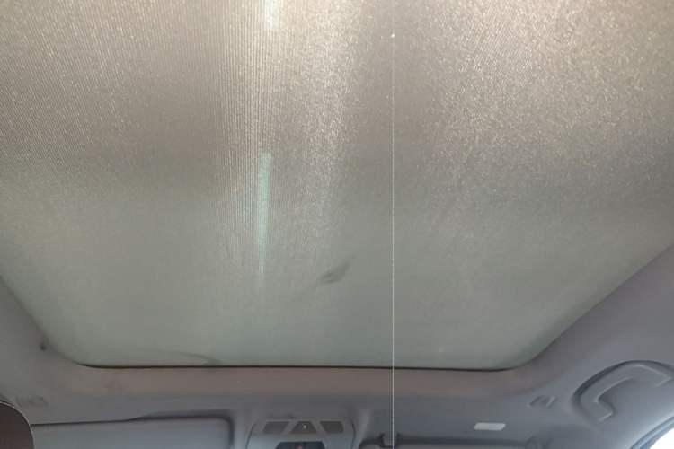 Used BMW X1 2018 xDrive20Li Luxury Edition Headliner