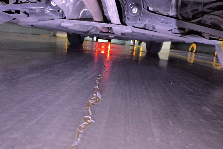 Used BMW X1 2018 sDrive18Li Fashion Model Chassis Rear