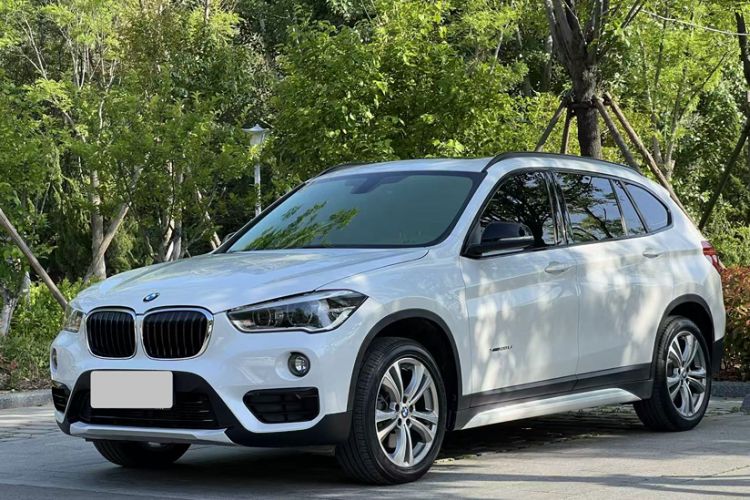 Used BMW X1 2018 xDrive20Li Luxury Edition Exterior 10
