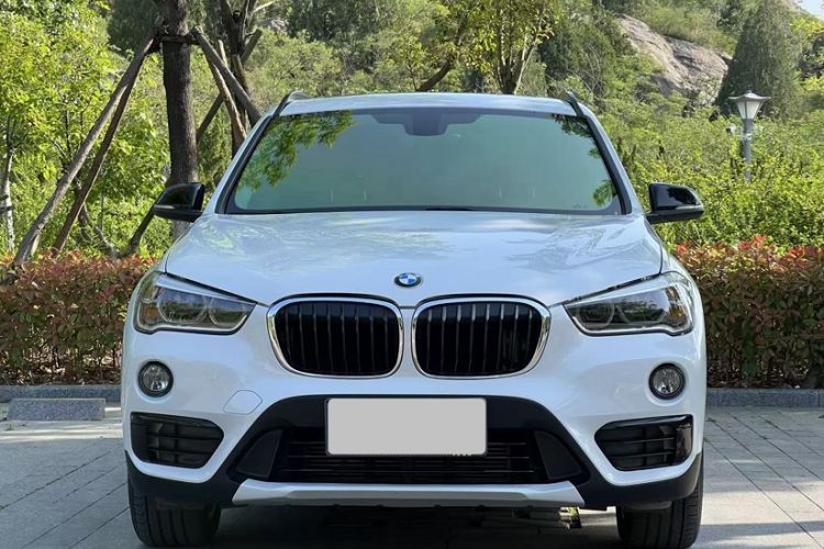 Used BMW X1 2018 xDrive20Li Luxury Edition Exterior 8