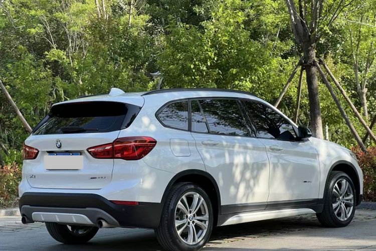 Used BMW X1 2018 xDrive20Li Luxury Edition Exterior 9