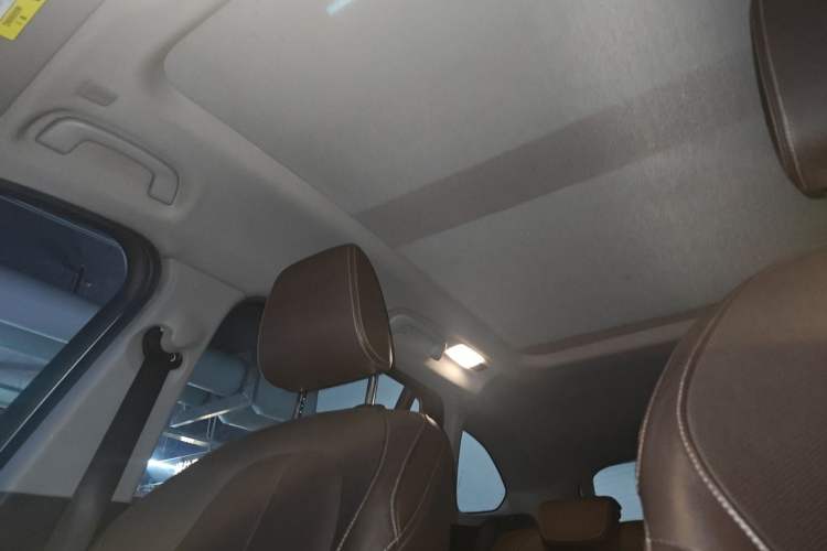 Used BMW X1 2018 xDrive20Li Luxury Model Headliner