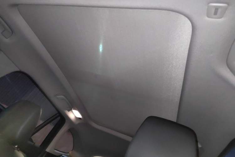 Used BMW X1 2018 sDrive20Li Leading Model Headliner