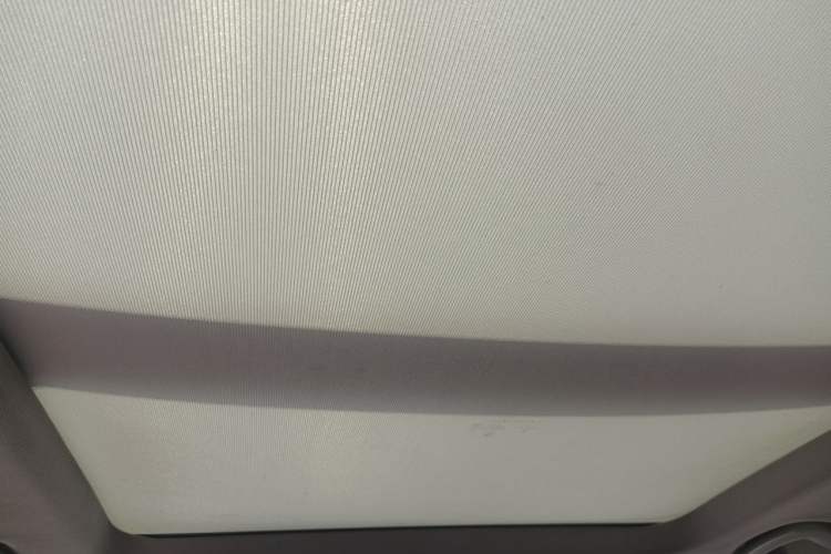 Used BMW X1 2018 sDrive20Li Leading Model Headliner