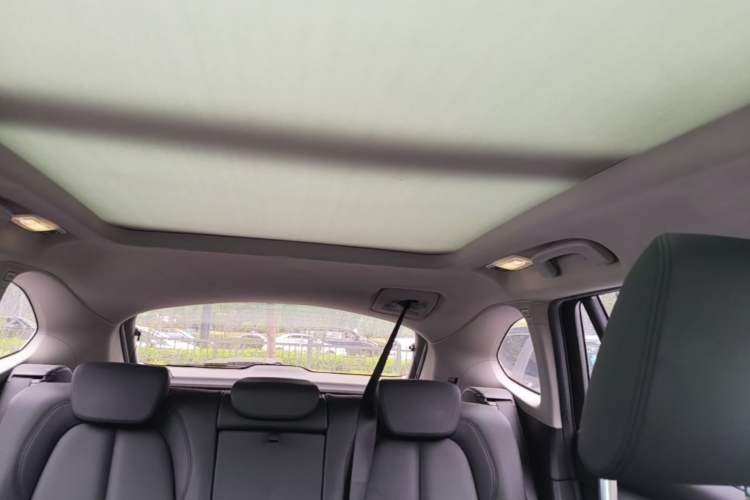 Used BMW X1 2018 sDrive20Li Leading Model Headliner