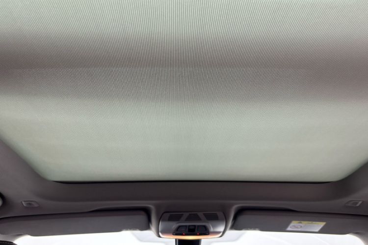 Used BMW X1 2018 sDrive18Li Luxury Model Headliner