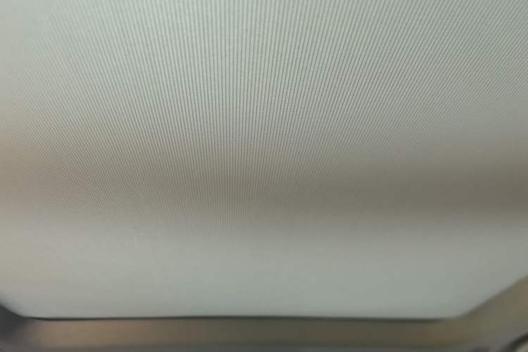Used BMW X1 2018 sDrive20Li Leading Model Headliner