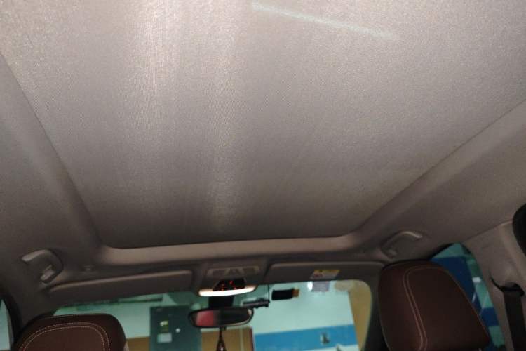 Used BMW X1 2018 xDrive20Li Luxury Edition Headliner