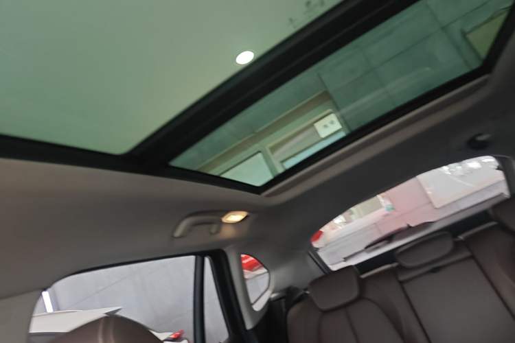 Used BMW X1 2018 sDrive18Li Luxury Model Headliner