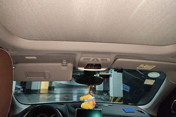 Used BMW X1 2018 xDrive20Li Luxury Model Headliner
